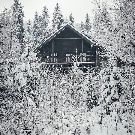 Chalet Shepit Karpat Bukovel Eksteriør bilde