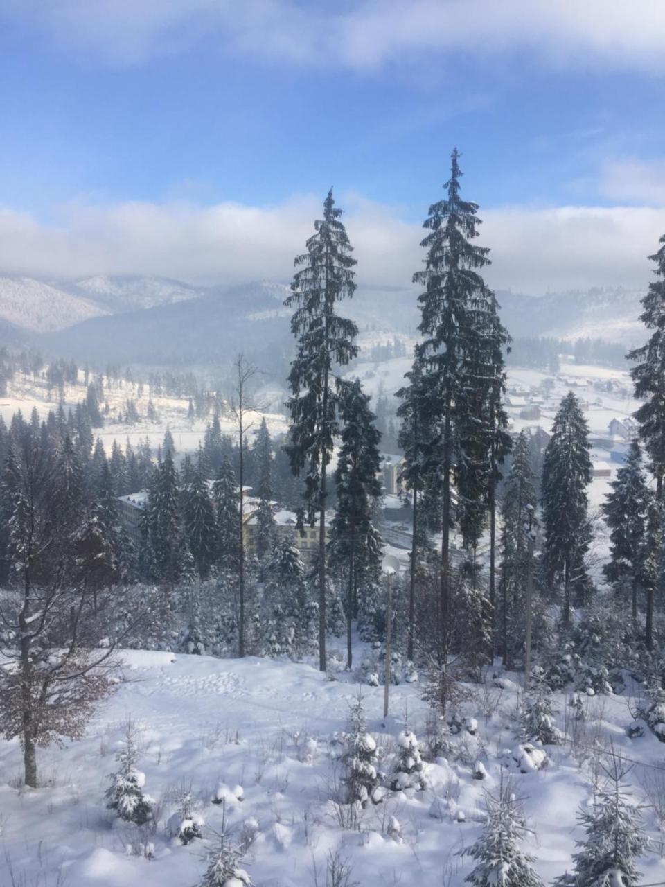 Chalet Shepit Karpat Bukovel Eksteriør bilde