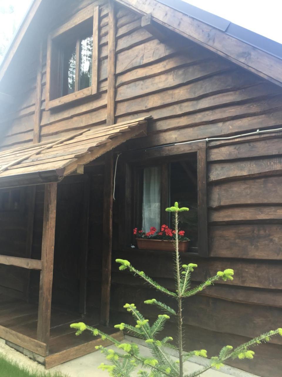 Chalet Shepit Karpat Bukovel Eksteriør bilde