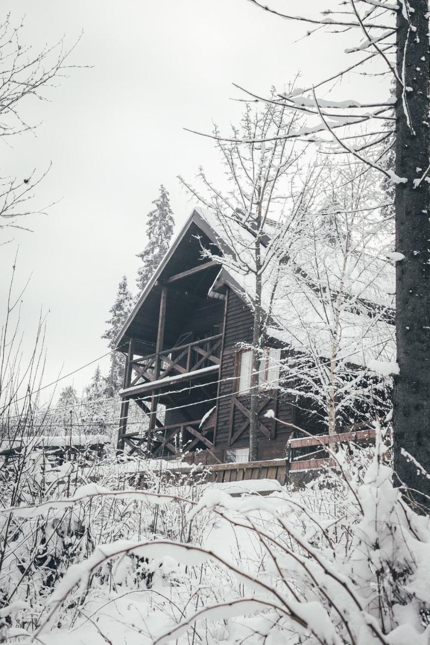 Chalet Shepit Karpat Bukovel Eksteriør bilde